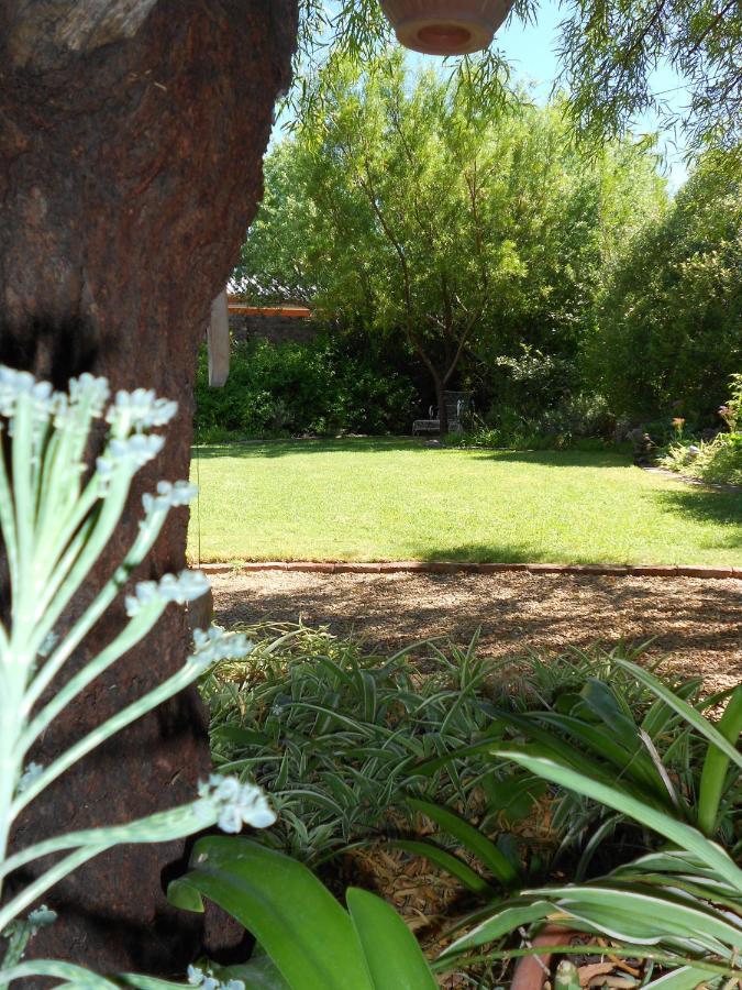 Pane Vivente Garden Cottage Beaufort West Eksteriør billede